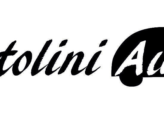 Ideazione Logo – Bertolini Auto